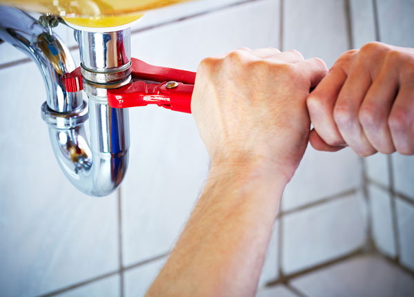 About Roscoe Plumbers